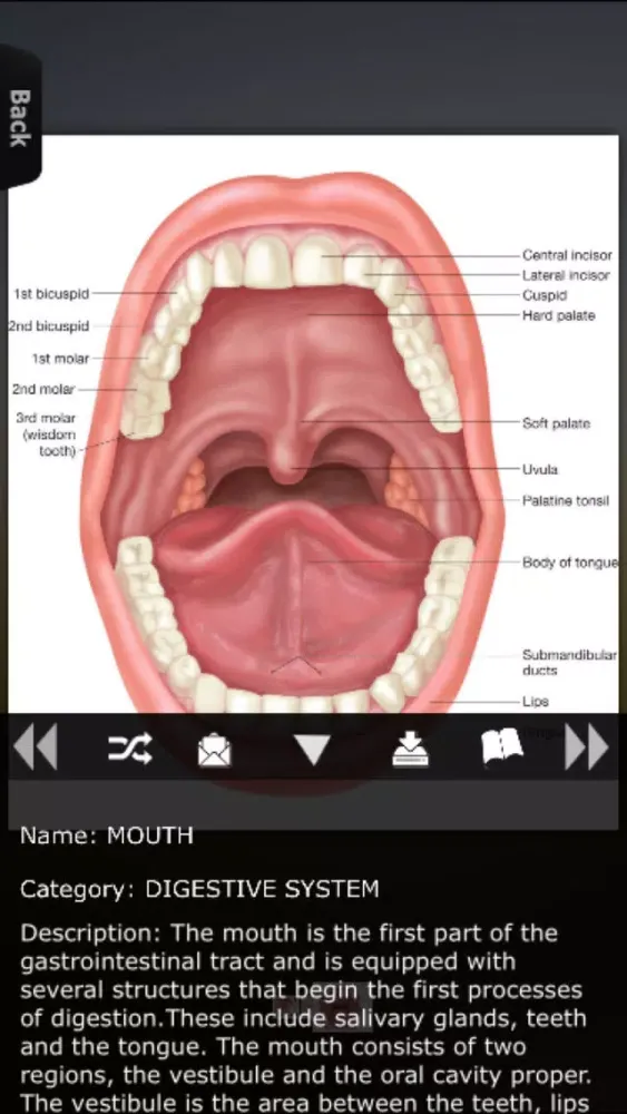 Human Body Database स्क्रीनशॉट