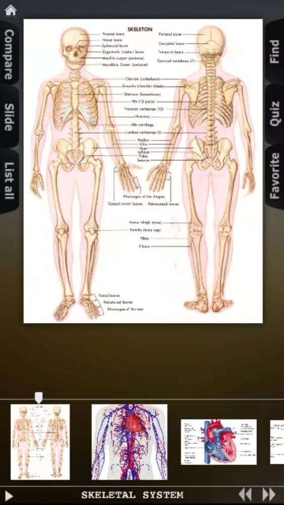 Human Body Database स्क्रीनशॉट