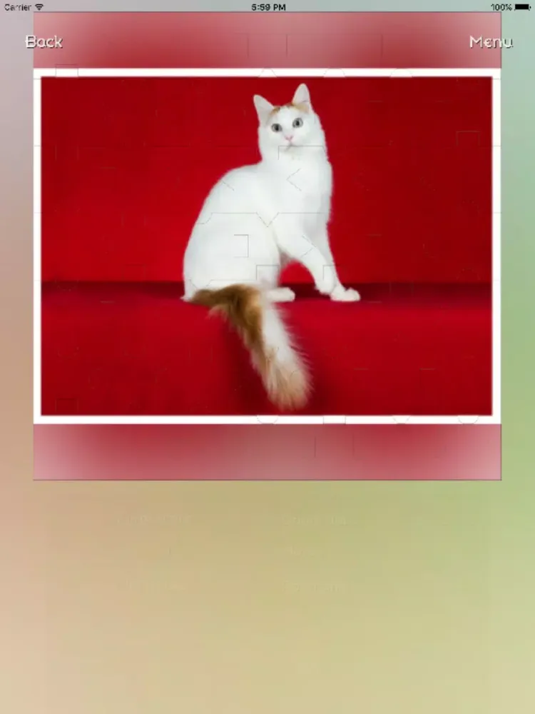 Ảnh chụp màn hình của Cats - Best Puzzle iPad 