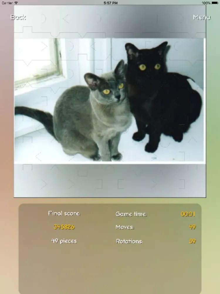 Ảnh chụp màn hình của Cats - Best Puzzle iPad 