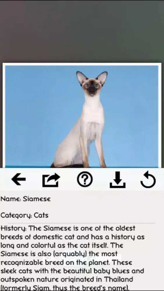 Ảnh chụp màn hình của Cats - Best Puzzle