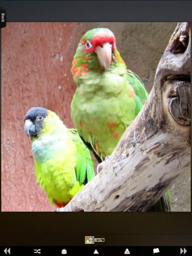 Tangkapan skrin Parrot Catalog HD iPad 