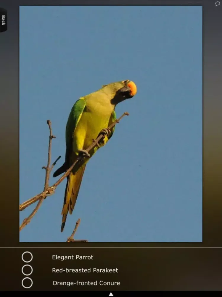 Tangkapan skrin Parrot Catalog HD iPad 