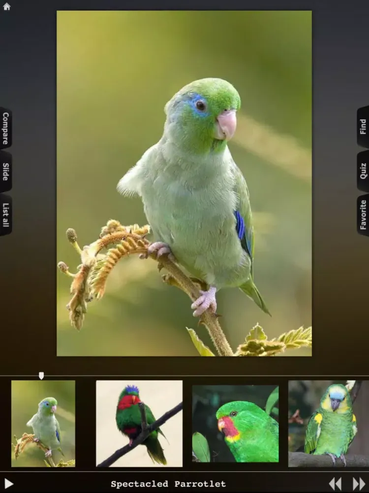 Tangkapan skrin Parrot Catalog HD iPad 