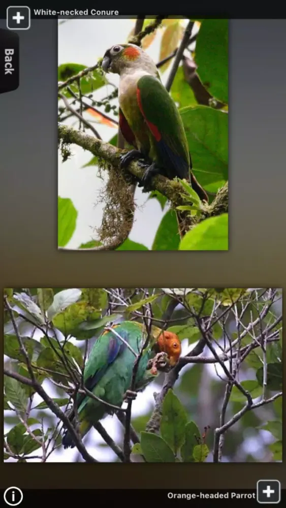 Tangkapan skrin Parrot Catalog HD