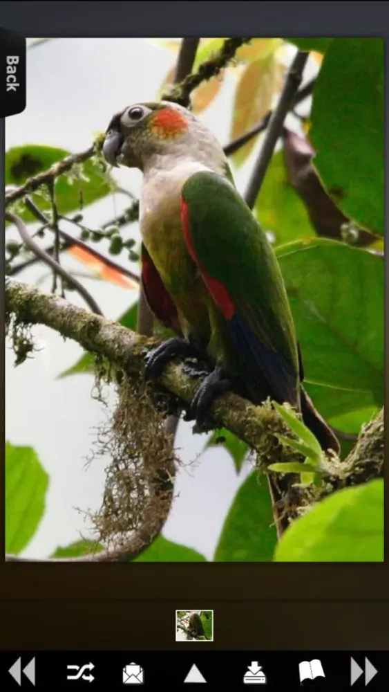 Tangkapan skrin Parrot Catalog HD