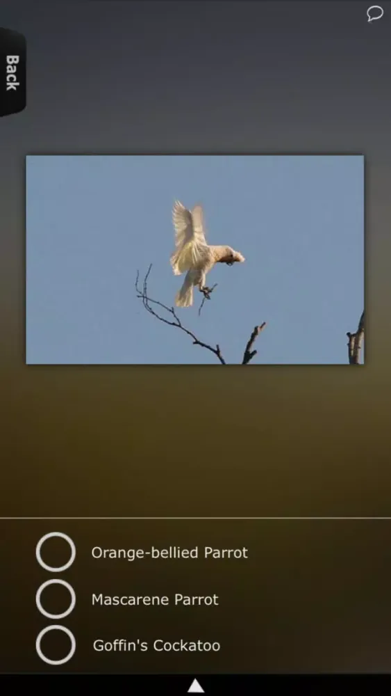 Tangkapan skrin Parrot Catalog HD