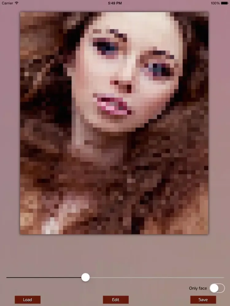 Screenshot di Photo Pixelate iPad 