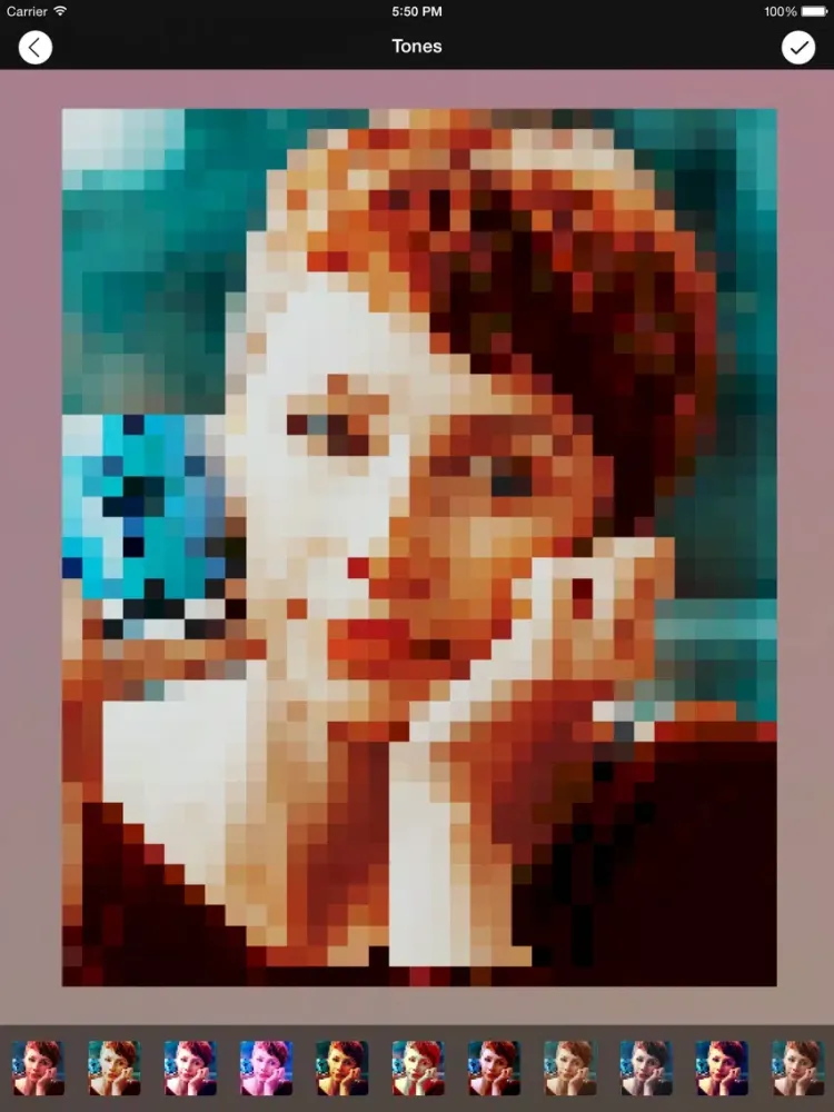 Screenshot di Photo Pixelate iPad 