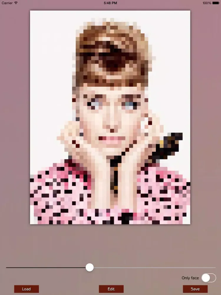 Screenshot di Photo Pixelate iPad 