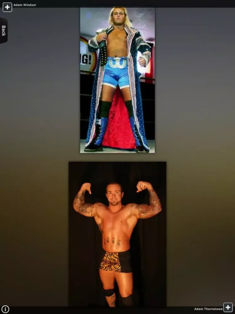 تصاویر Wrestlers Collection iPad 