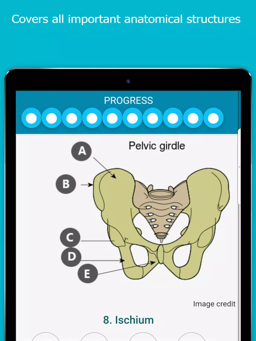 Captures d'écran de Visual Anatomy Quiz iPad 