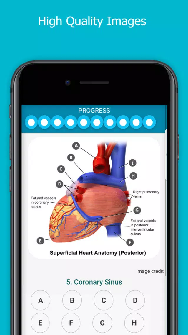 Captures d'écran de Visual Anatomy Quiz