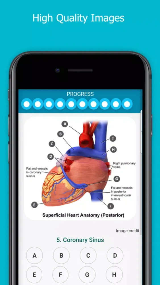 Visual Anatomy Quiz 스크린샷