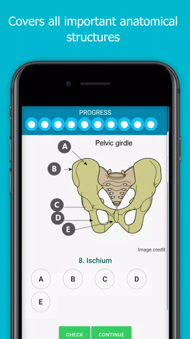 Captures d'écran de Visual Anatomy Quiz