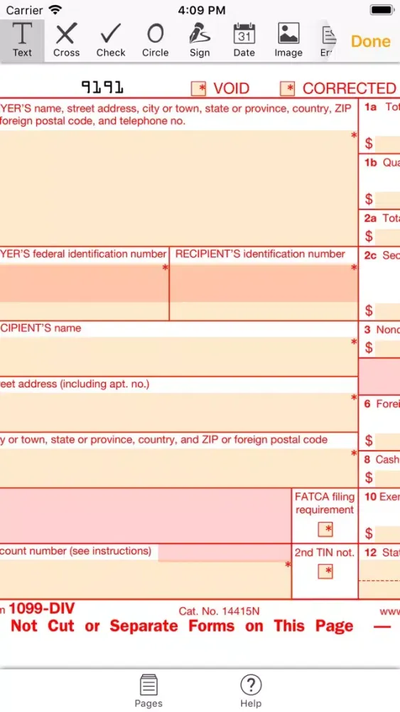 1099DIV Form Screenshots