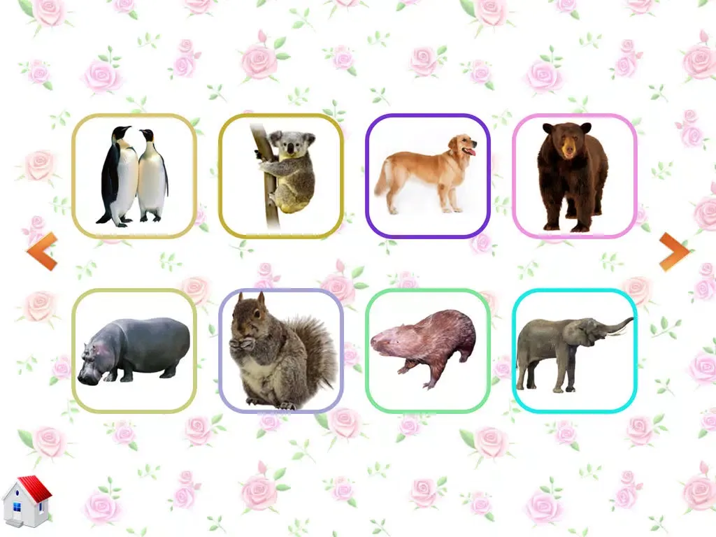 Скриншоты Animal Bug Music Learn English iPad 