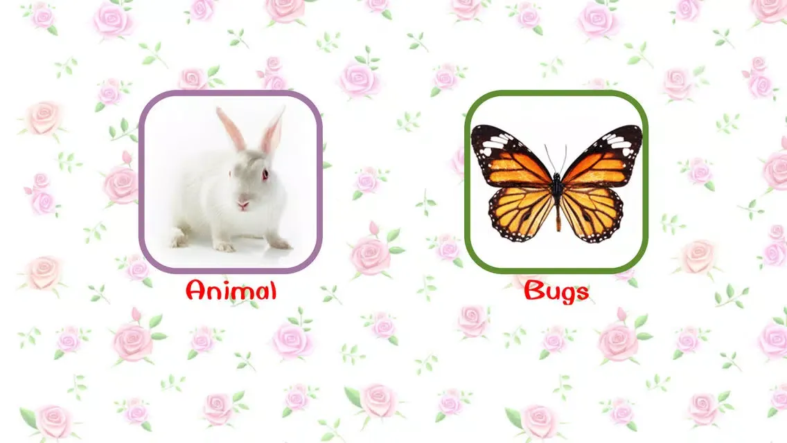 Скриншоты Animal Bug Music Learn English