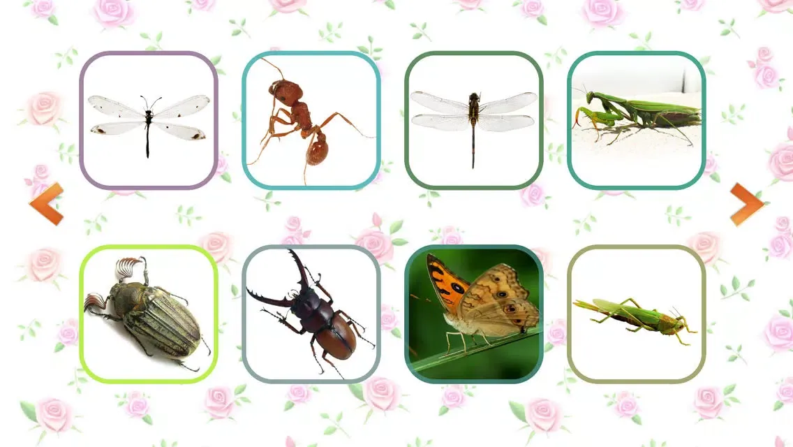Скриншоты Animal Bug Music Learn English
