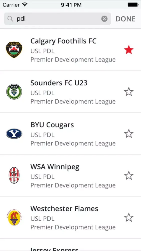 Скриншоты Premier Development League