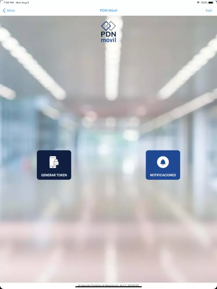 تصاویر PDN Movil iPad 