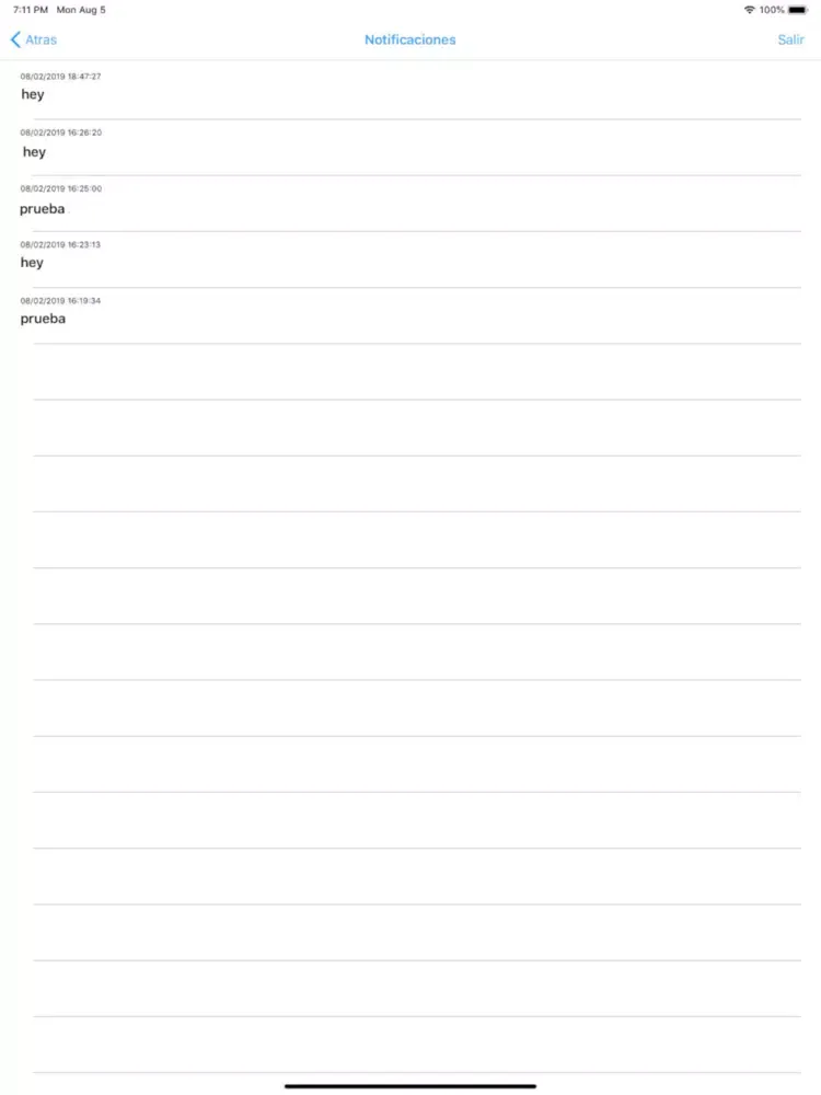 تصاویر PDN Movil iPad 
