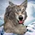 Wolf Simulator 2016. Real Howling Wild Wolves In Virtual Hunting