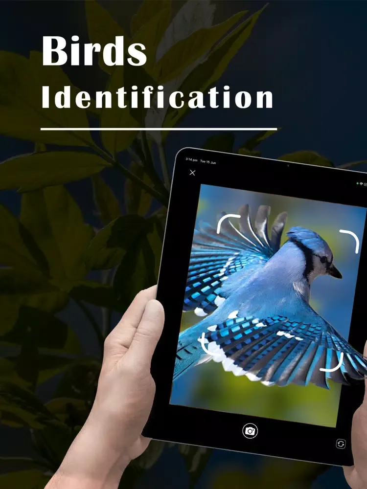 تصاویر Bird Identifier - Bird ID iPad 