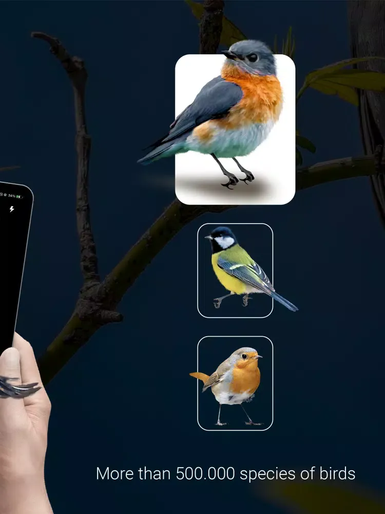 تصاویر Bird Identifier - Bird ID iPad 