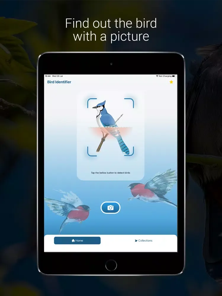 تصاویر Bird Identifier - Bird ID iPad 