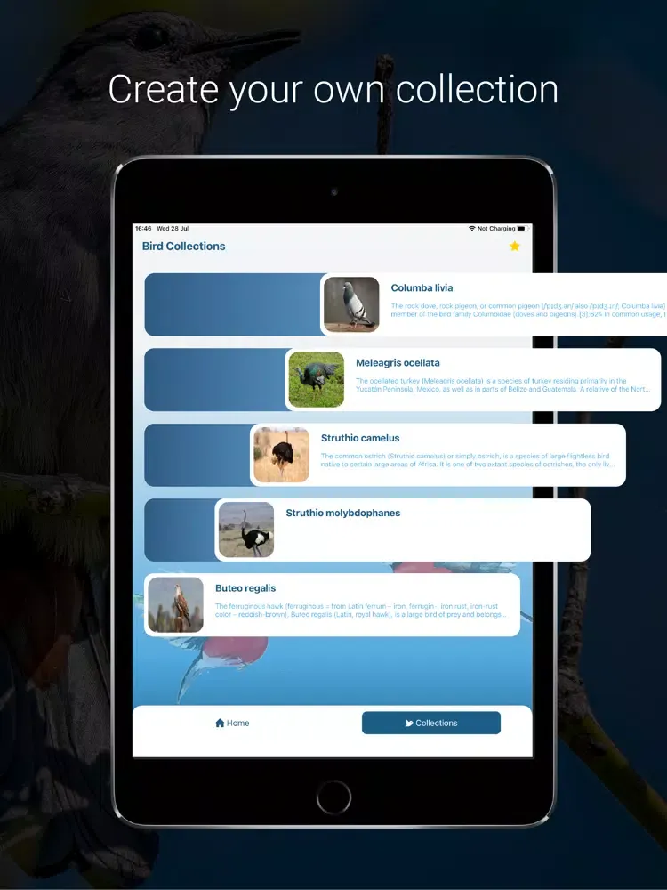 تصاویر Bird Identifier - Bird ID iPad 