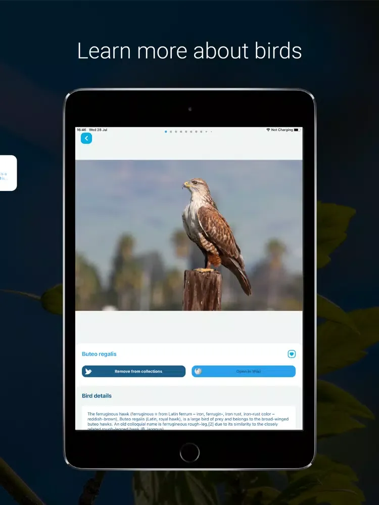 تصاویر Bird Identifier - Bird ID iPad 