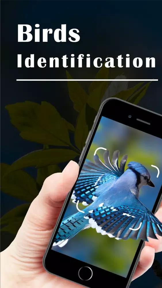 تصاویر Bird Identifier - Bird ID