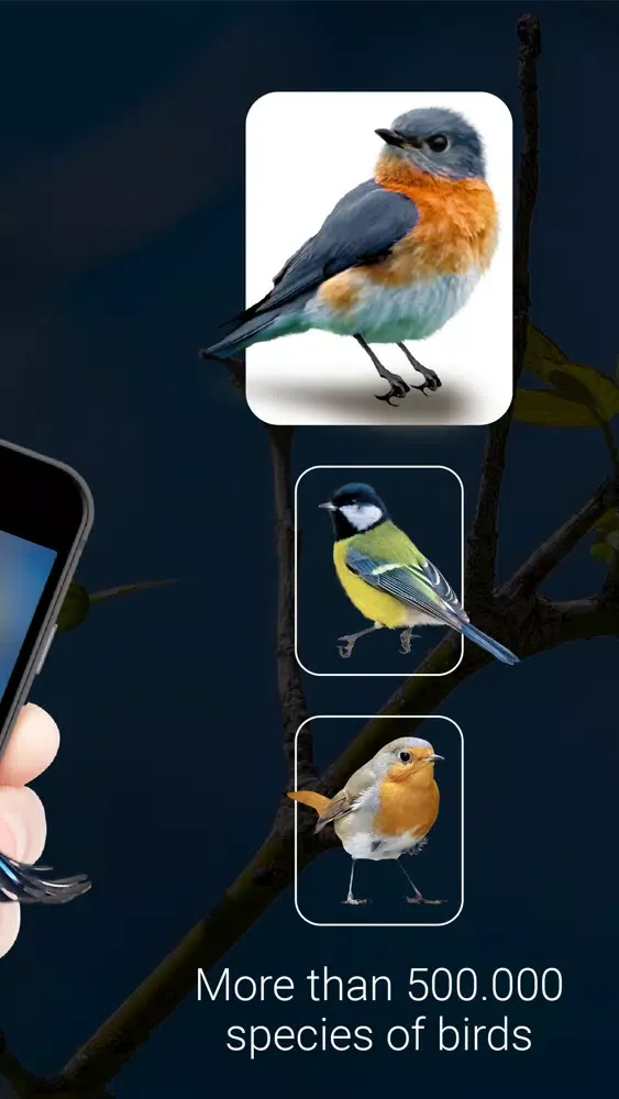 تصاویر Bird Identifier - Bird ID