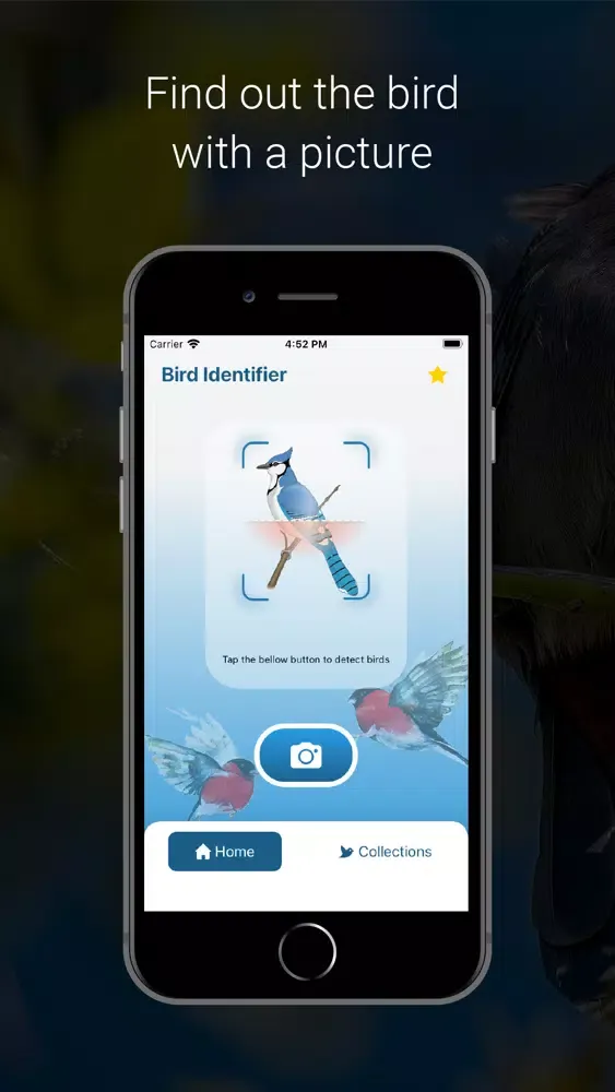 تصاویر Bird Identifier - Bird ID