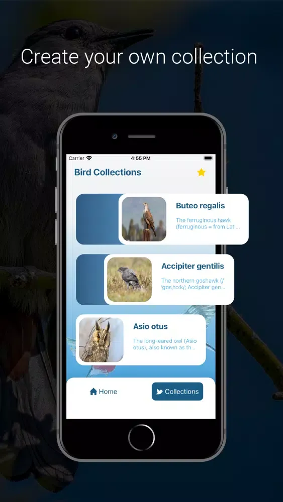 تصاویر Bird Identifier - Bird ID