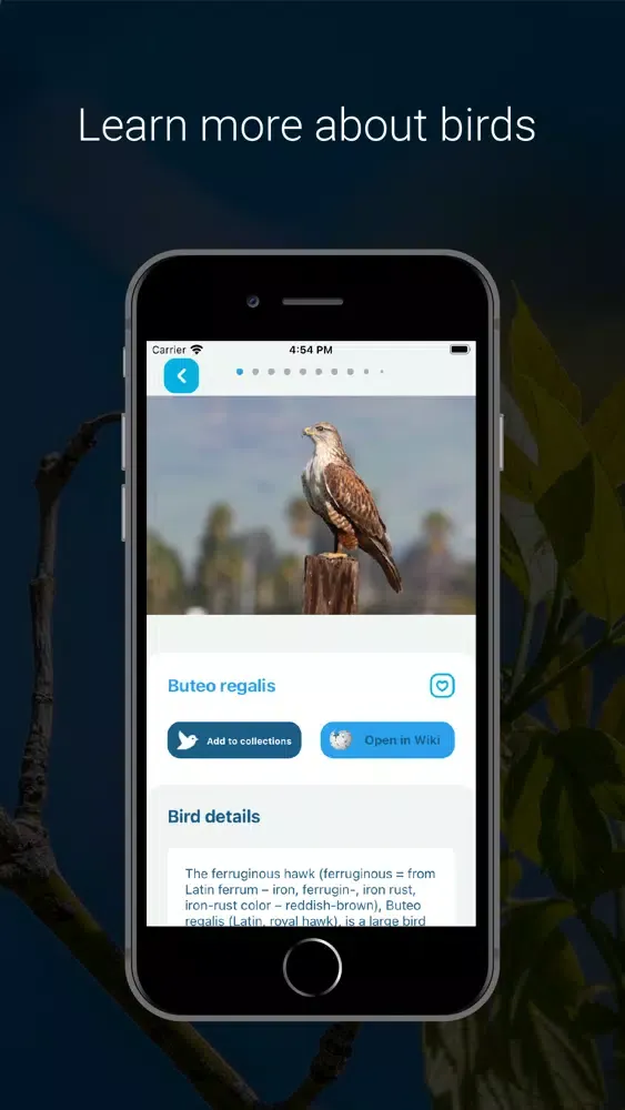 تصاویر Bird Identifier - Bird ID