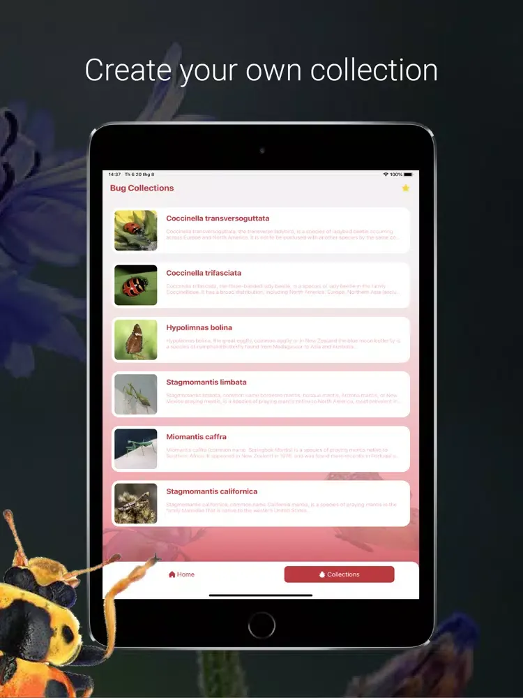 Bug Identifier - Insect iPad  Ekran Görüntüleri