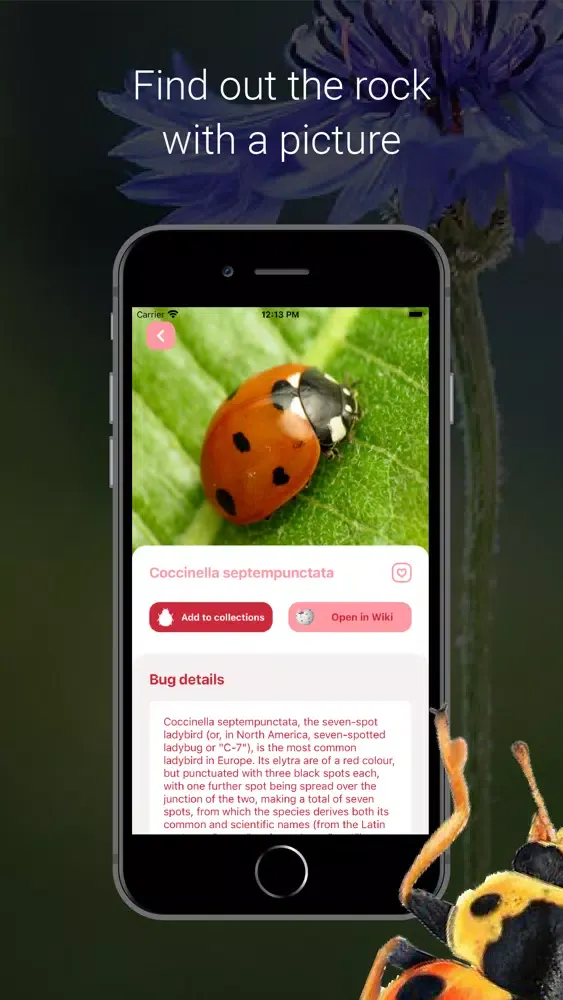 Bug Identifier - Insect Ekran Görüntüleri