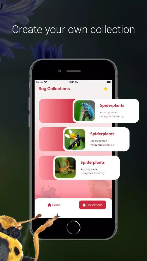 Bug Identifier - Insect Ekran Görüntüleri