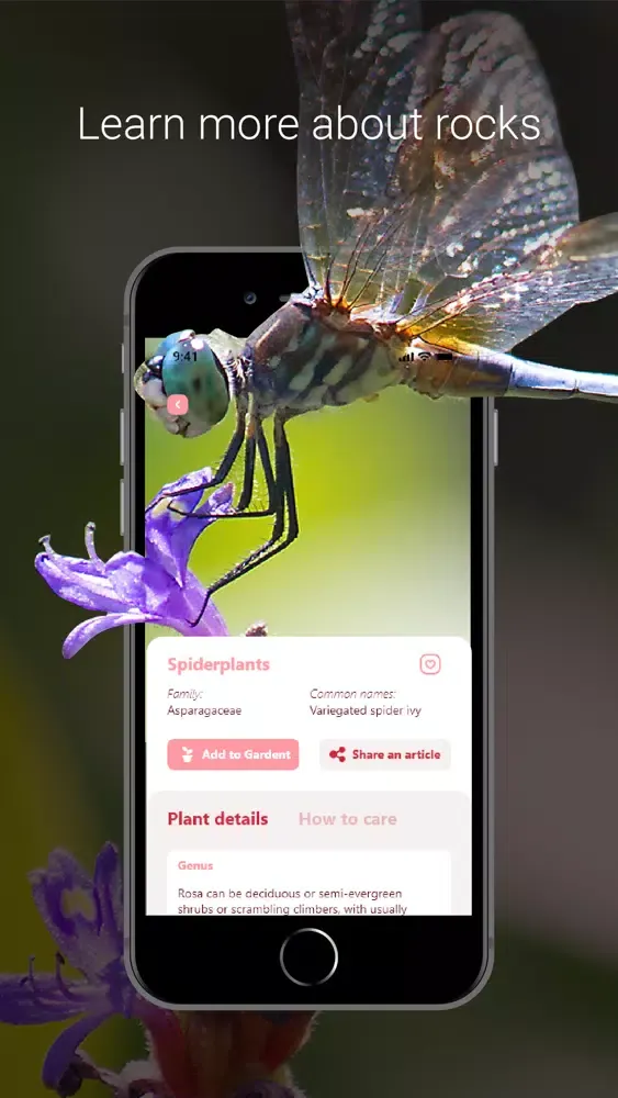Bug Identifier - Insect Ekran Görüntüleri