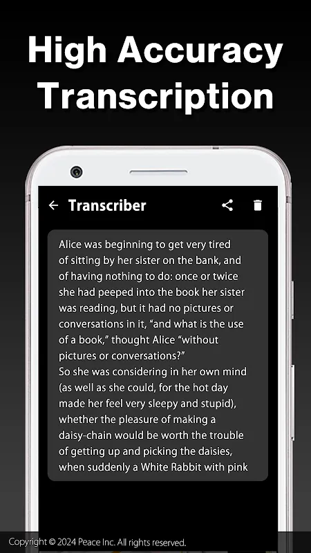 Transcriber Screenshots