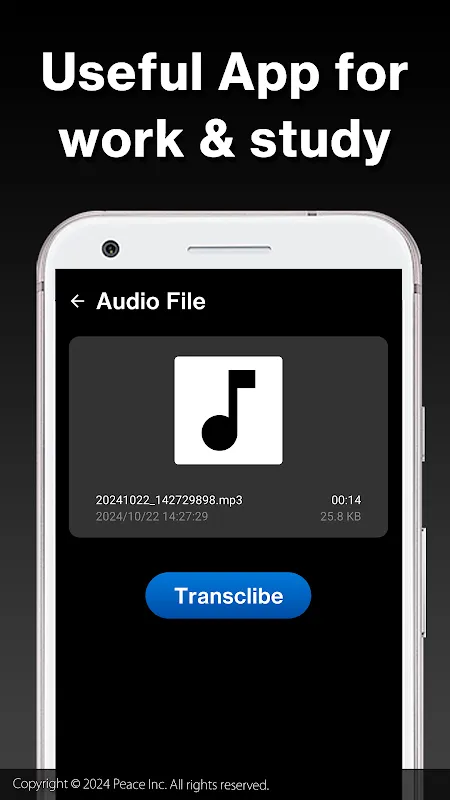 Transcriber Screenshots