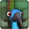 Pet Peacock