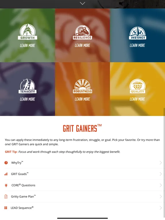 Zrzuty ekranu GRIT® iPad 