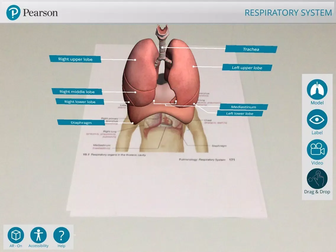تصاویر Pearson's Off the Page iPad 