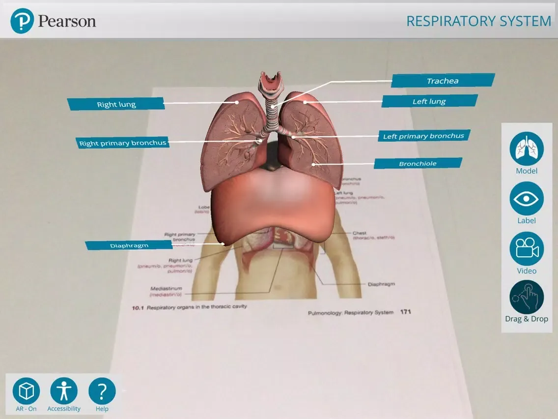 تصاویر Pearson's Off the Page iPad 