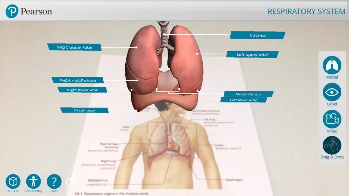 تصاویر Pearson's Off the Page