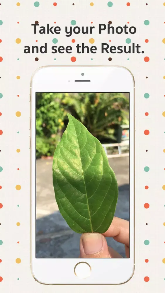 Captures d'écran de SnapIT Camera