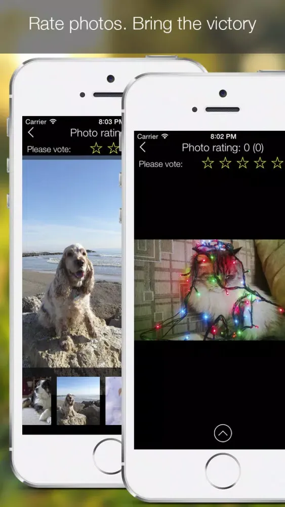 Zrzuty ekranu Cat Vs Dog - pet photos